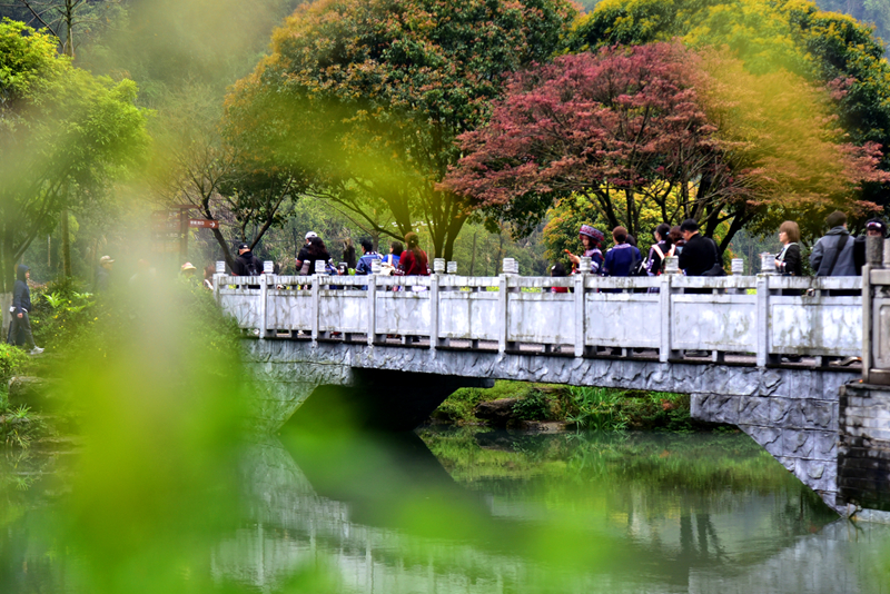 清明游玩黃龍洞，不負滿園好春光（組圖）